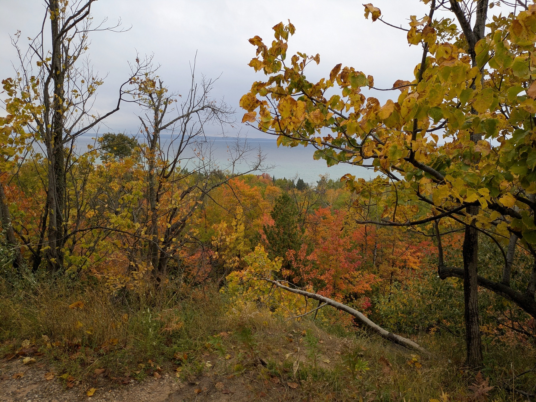 Auto-generated description: A scenic view captures vibrant autumn foliage in a forested area with a distant body of water and overcast sky.